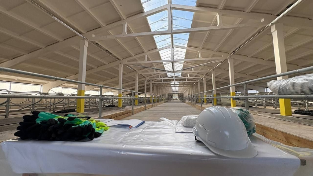 photo_5413455756197041987_y (1).jpg